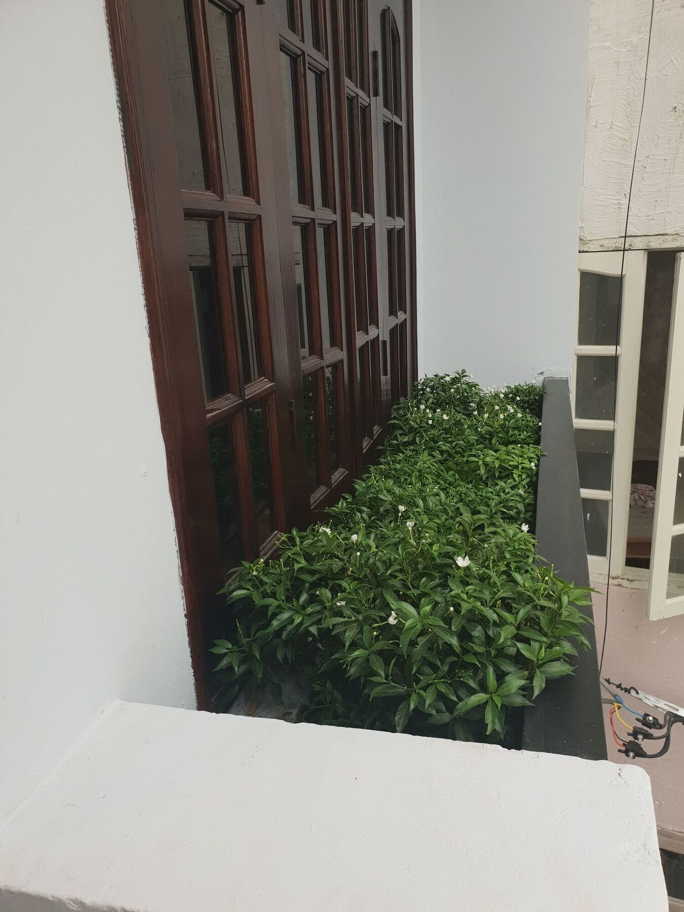 Thai Anh House - The Airport Ho Chi Minh City Exterior photo